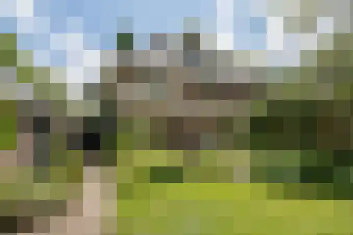Mevrouw Leinweberlaan 15 Driebergen-Rijsenburg thumbnail 35