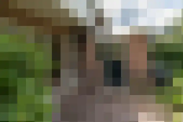 Mevrouw Leinweberlaan 15 Driebergen-Rijsenburg thumbnail 37