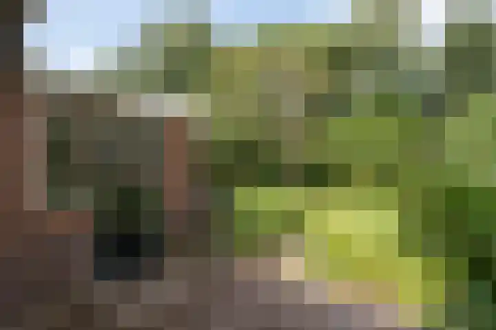Mevrouw Leinweberlaan 15 Driebergen-Rijsenburg thumbnail 38