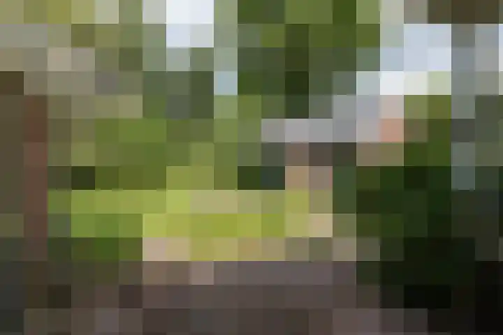 Mevrouw Leinweberlaan 15 Driebergen-Rijsenburg thumbnail 39