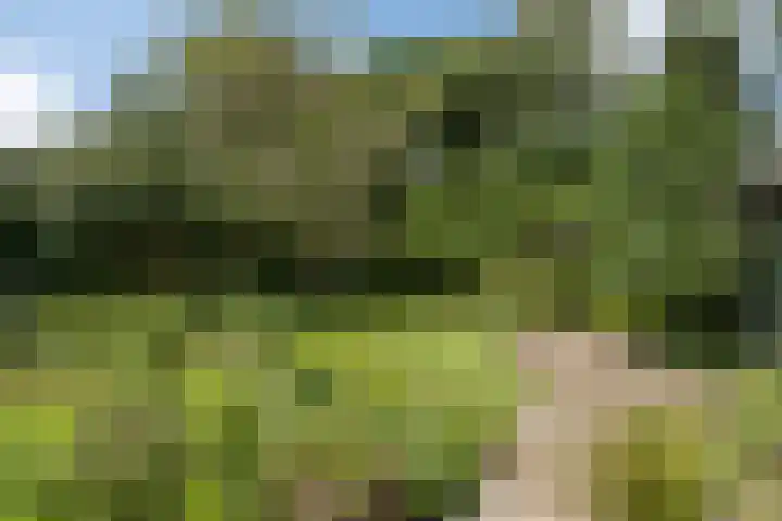 Mevrouw Leinweberlaan 15 Driebergen-Rijsenburg thumbnail 40