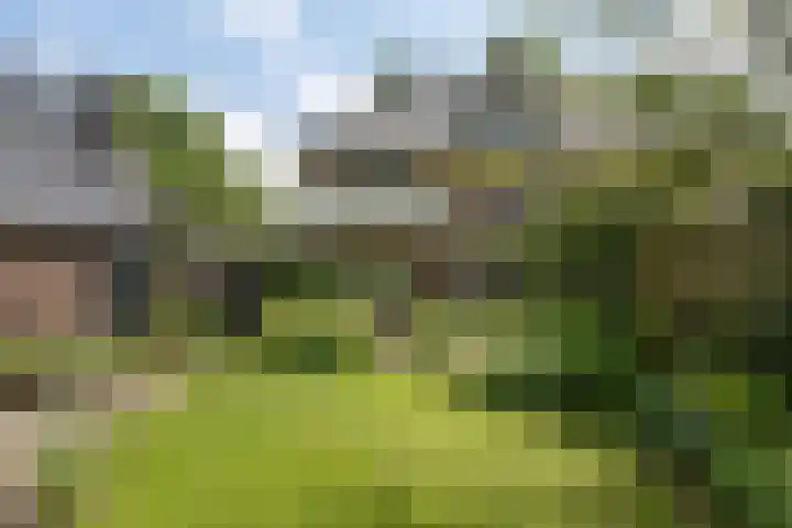 Mevrouw Leinweberlaan 15 Driebergen-Rijsenburg thumbnail 41