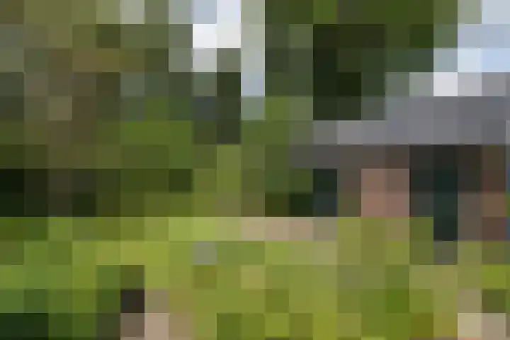 Mevrouw Leinweberlaan 15 Driebergen-Rijsenburg thumbnail 44