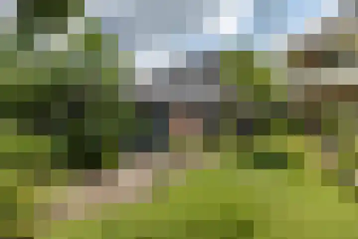 Mevrouw Leinweberlaan 15 Driebergen-Rijsenburg thumbnail 45