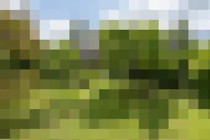 Mevrouw Leinweberlaan 15 Driebergen-Rijsenburg thumbnail 46