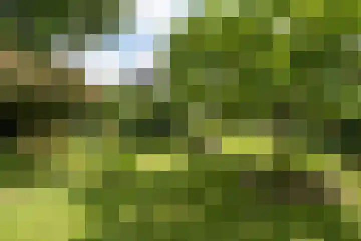Mevrouw Leinweberlaan 15 Driebergen-Rijsenburg thumbnail 47