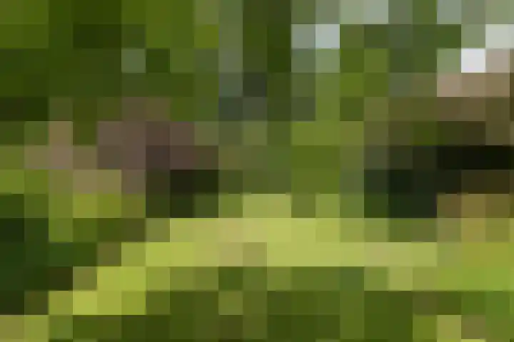 Mevrouw Leinweberlaan 15 Driebergen-Rijsenburg thumbnail 50