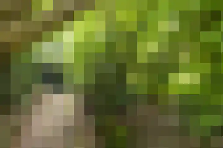 Mevrouw Leinweberlaan 15 Driebergen-Rijsenburg thumbnail 51