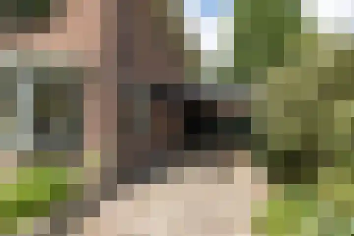 Mevrouw Leinweberlaan 15 Driebergen-Rijsenburg thumbnail 53