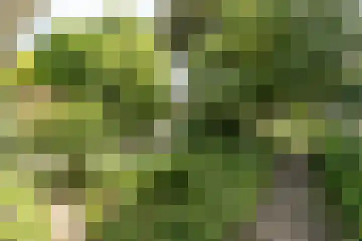 Mevrouw Leinweberlaan 15 Driebergen-Rijsenburg thumbnail 54