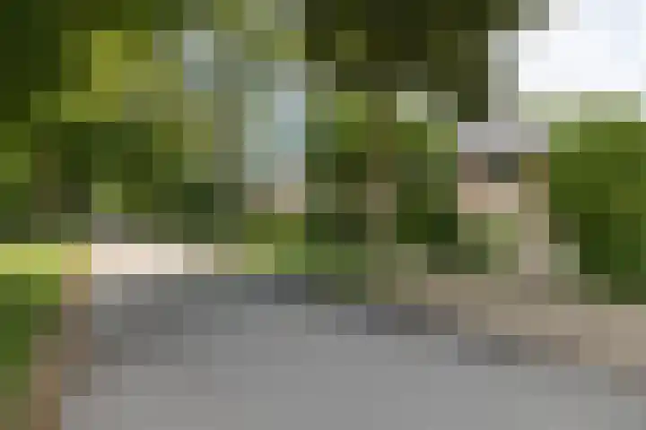 Mevrouw Leinweberlaan 15 Driebergen-Rijsenburg thumbnail 55