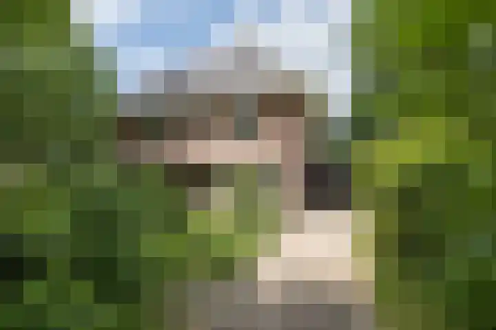 Mevrouw Leinweberlaan 15 Driebergen-Rijsenburg thumbnail 60