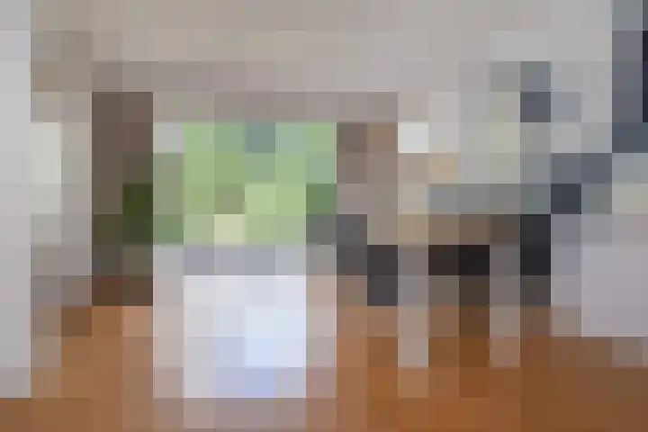 Mevrouw Leinweberlaan 15 Driebergen-Rijsenburg thumbnail 7