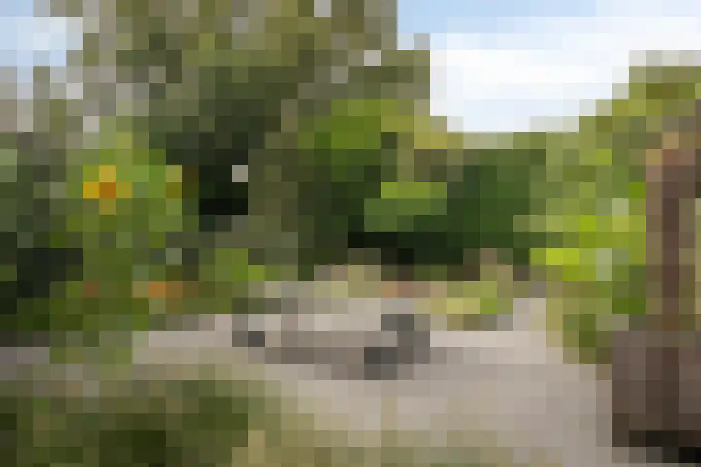 Mevrouw Leinweberlaan 4 a Driebergen-Rijsenburg thumbnail 21
