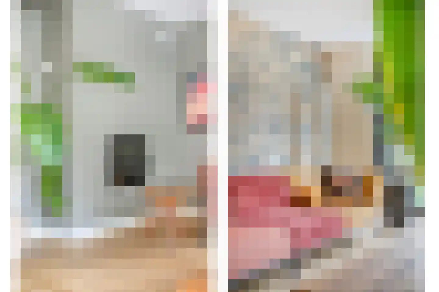 Mevrouw Leinweberlaan 4 a Driebergen-Rijsenburg thumbnail 8