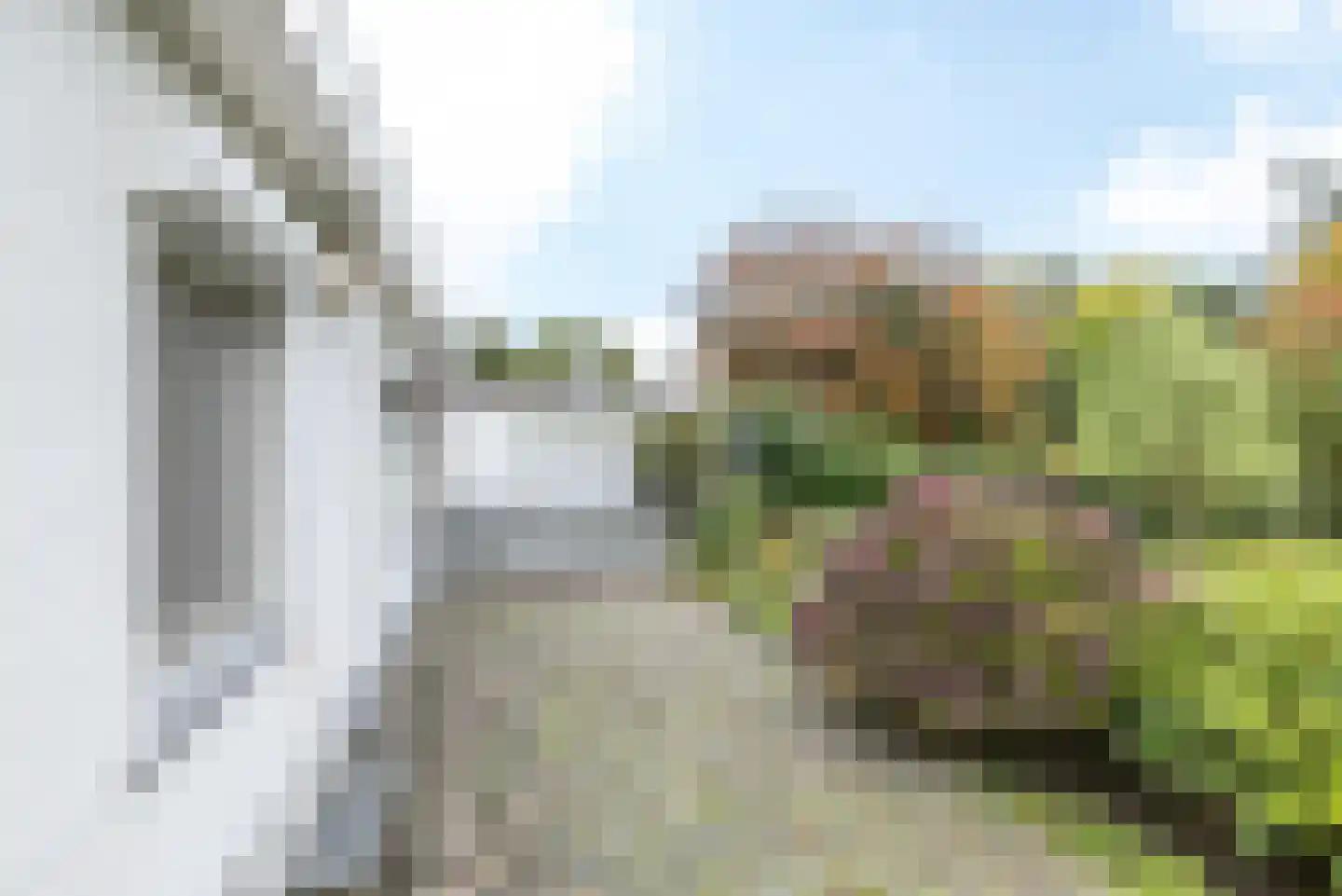 Mevrouw van der Meijstraat 26 Geulle thumbnail 34