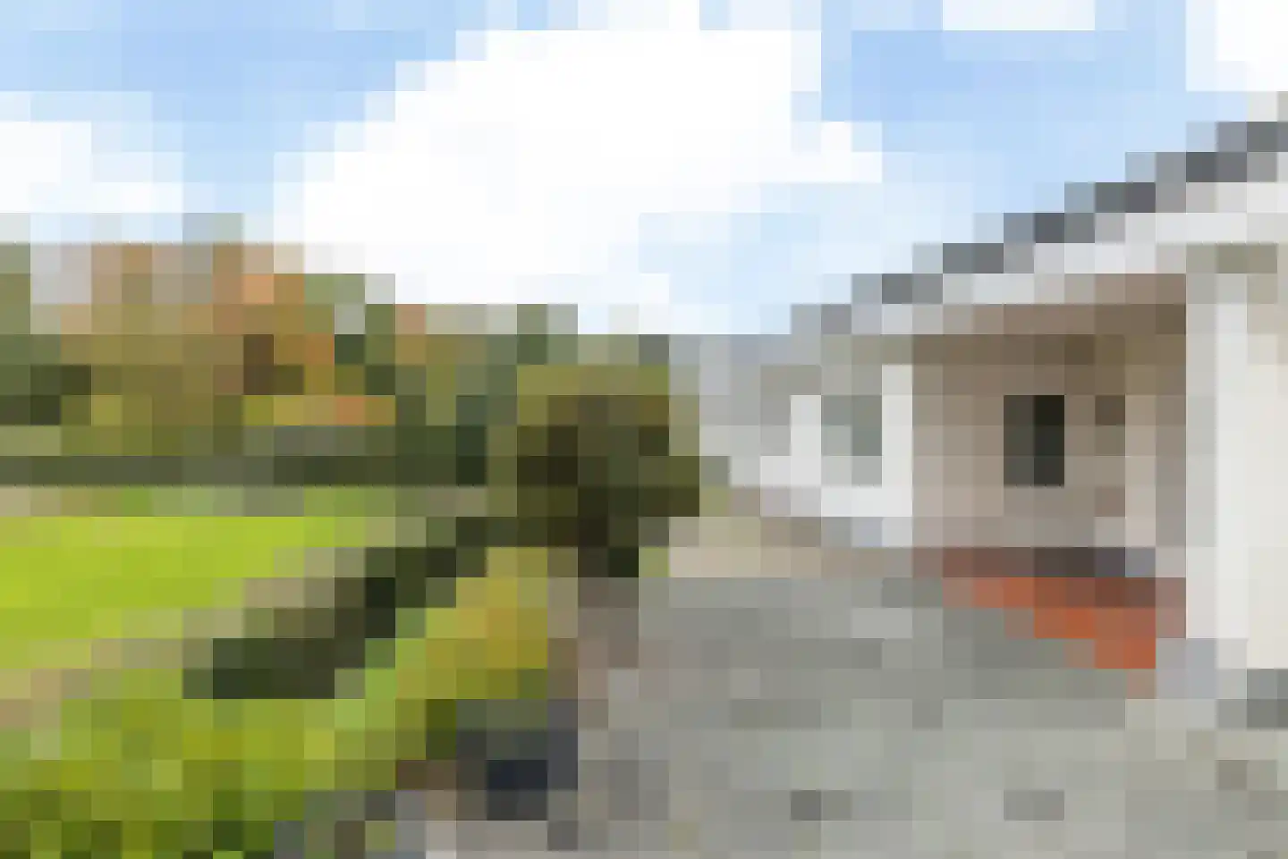 Mevrouw van der Meijstraat 26 Geulle thumbnail 37