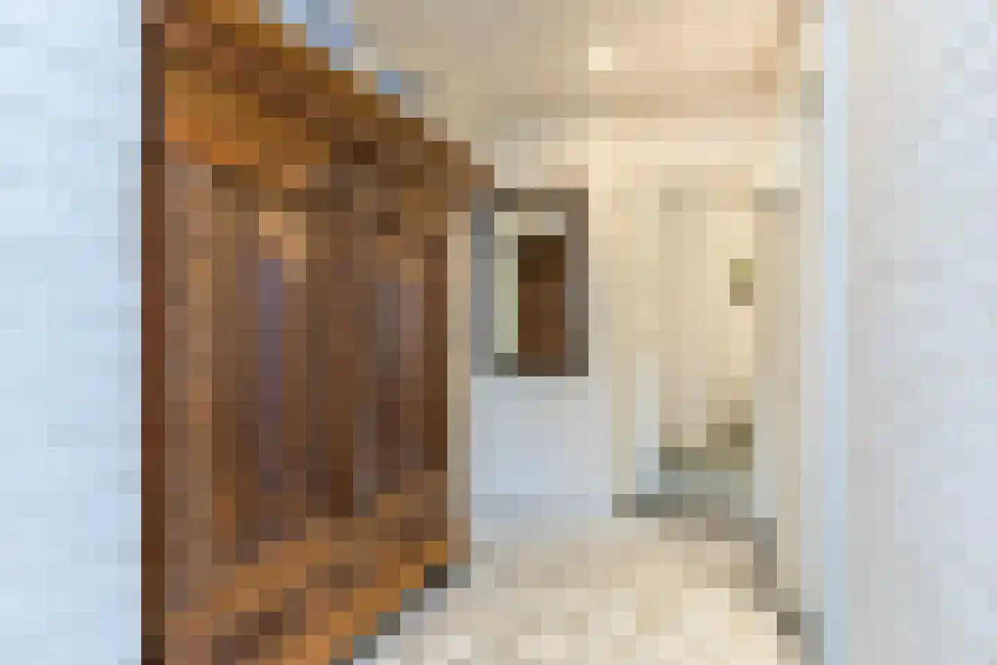 Mevrouw van der Meijstraat 26 Geulle thumbnail 8