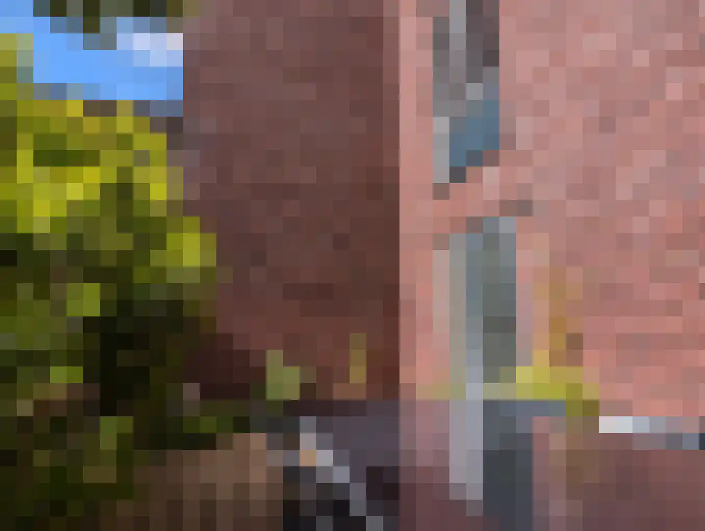 Mexicosingel 44 Den Haag thumbnail 18