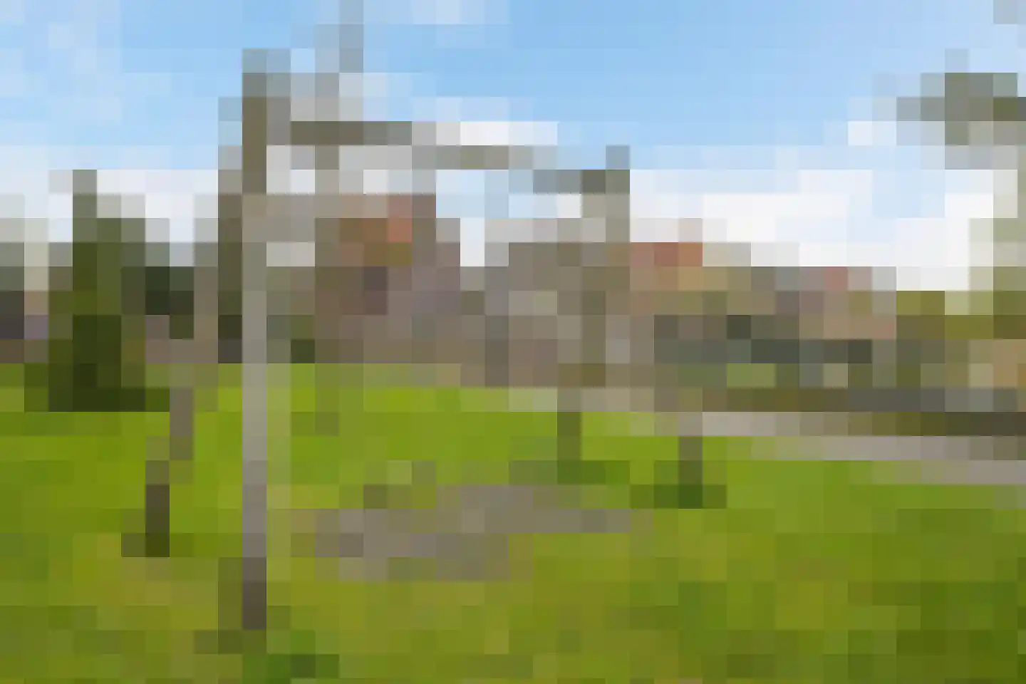 Mexicosingel 44 Den Haag thumbnail 44