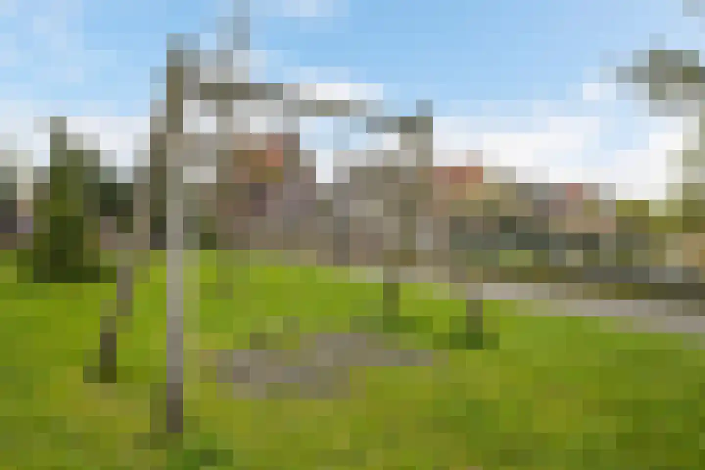 Mexicosingel 44 Den Haag thumbnail 47