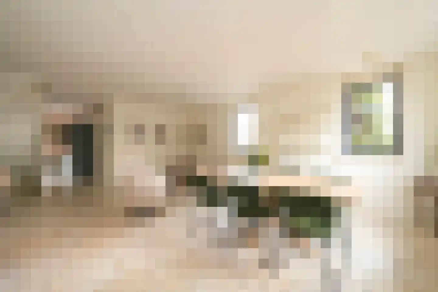 Mexicosingel 44 Den Haag thumbnail 7