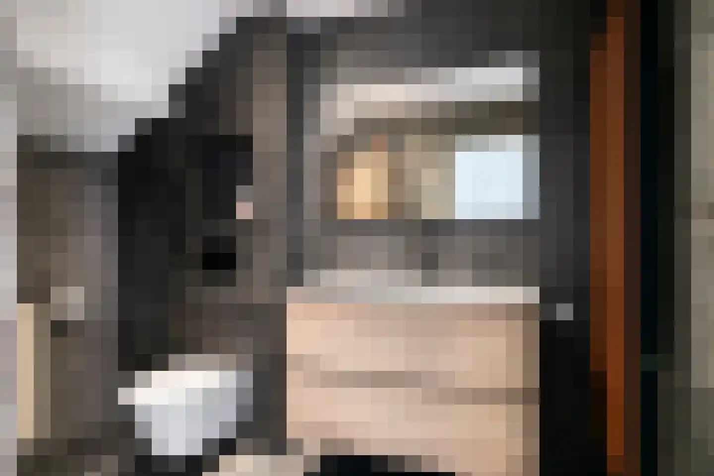 Meyboomstraat 47 Diever thumbnail 22