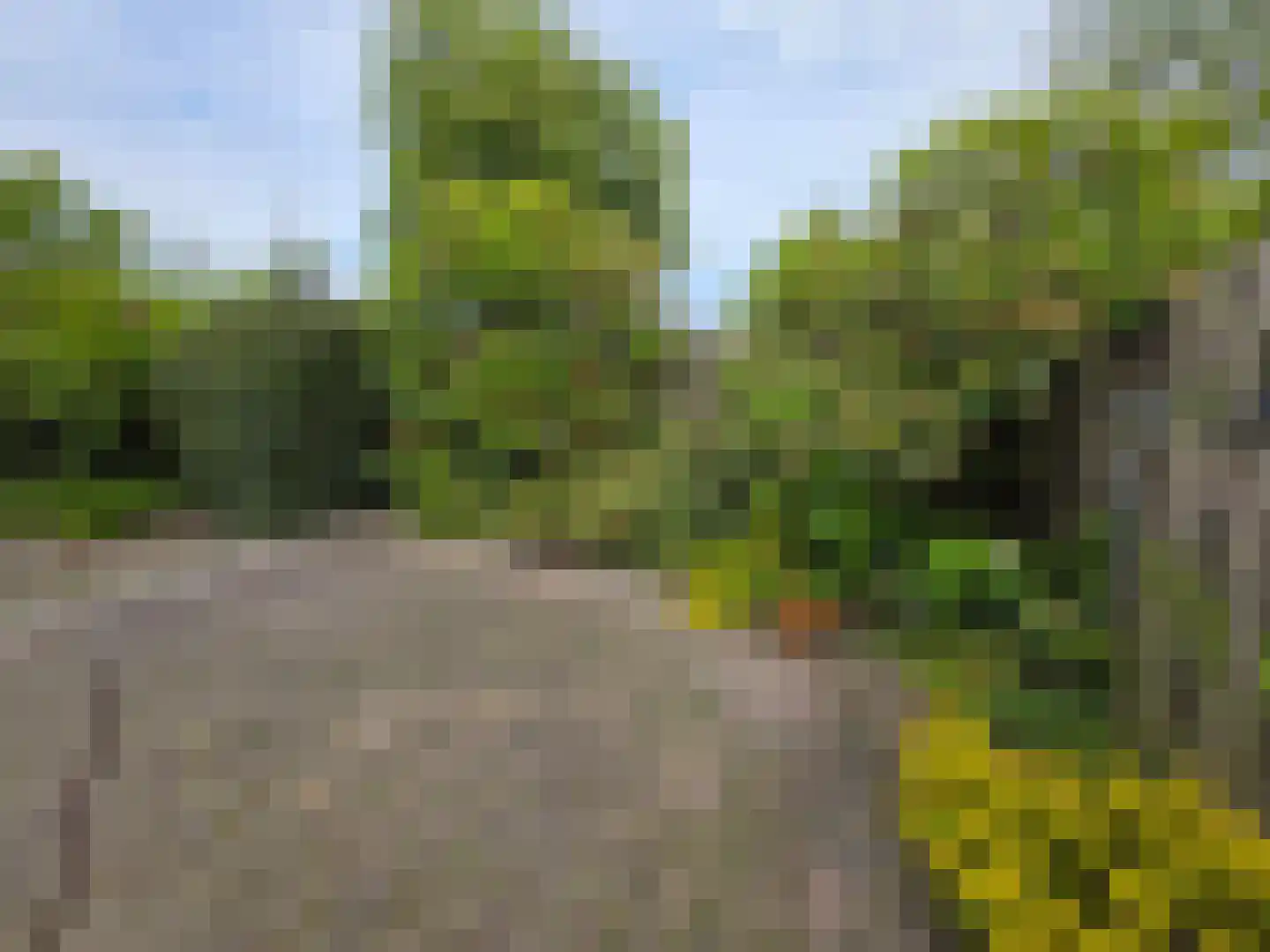 Meyboomstraat 47 Diever thumbnail 25