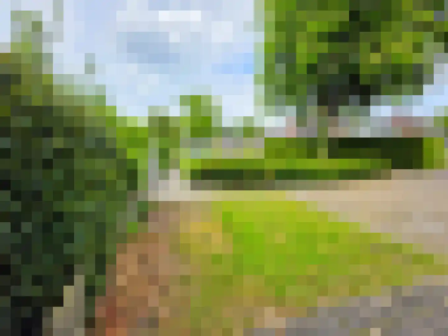 Meyboomstraat 47 Diever thumbnail 28