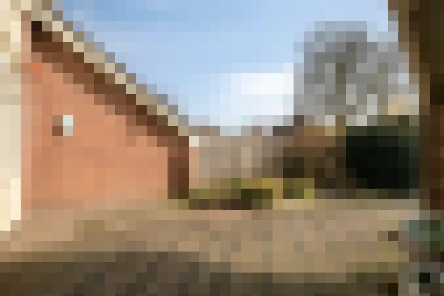 Meyboomstraat 47 Diever thumbnail 28