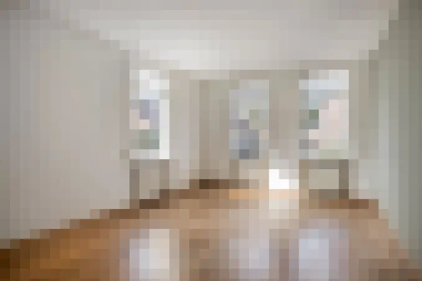 Meyboomstraat 47 Diever thumbnail 6