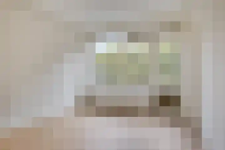 Meyenhage 372 Rotterdam thumbnail 11