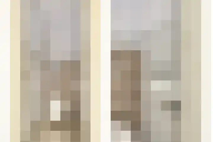 Meyenhage 372 Rotterdam thumbnail 13
