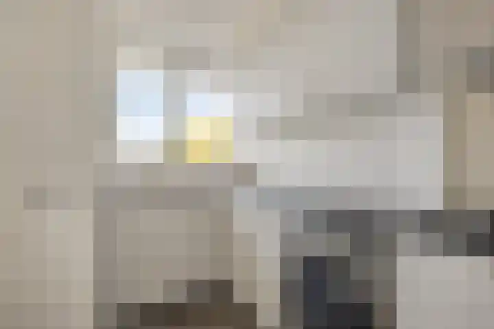 Meyenhage 372 Rotterdam thumbnail 14