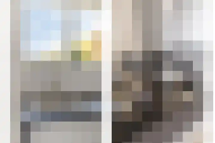 Meyenhage 372 Rotterdam thumbnail 15