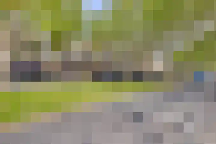 Meyenhage 372 Rotterdam thumbnail 22
