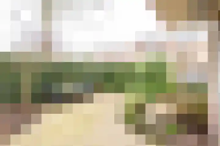 Meyenhagen 17 Bilthoven thumbnail 31
