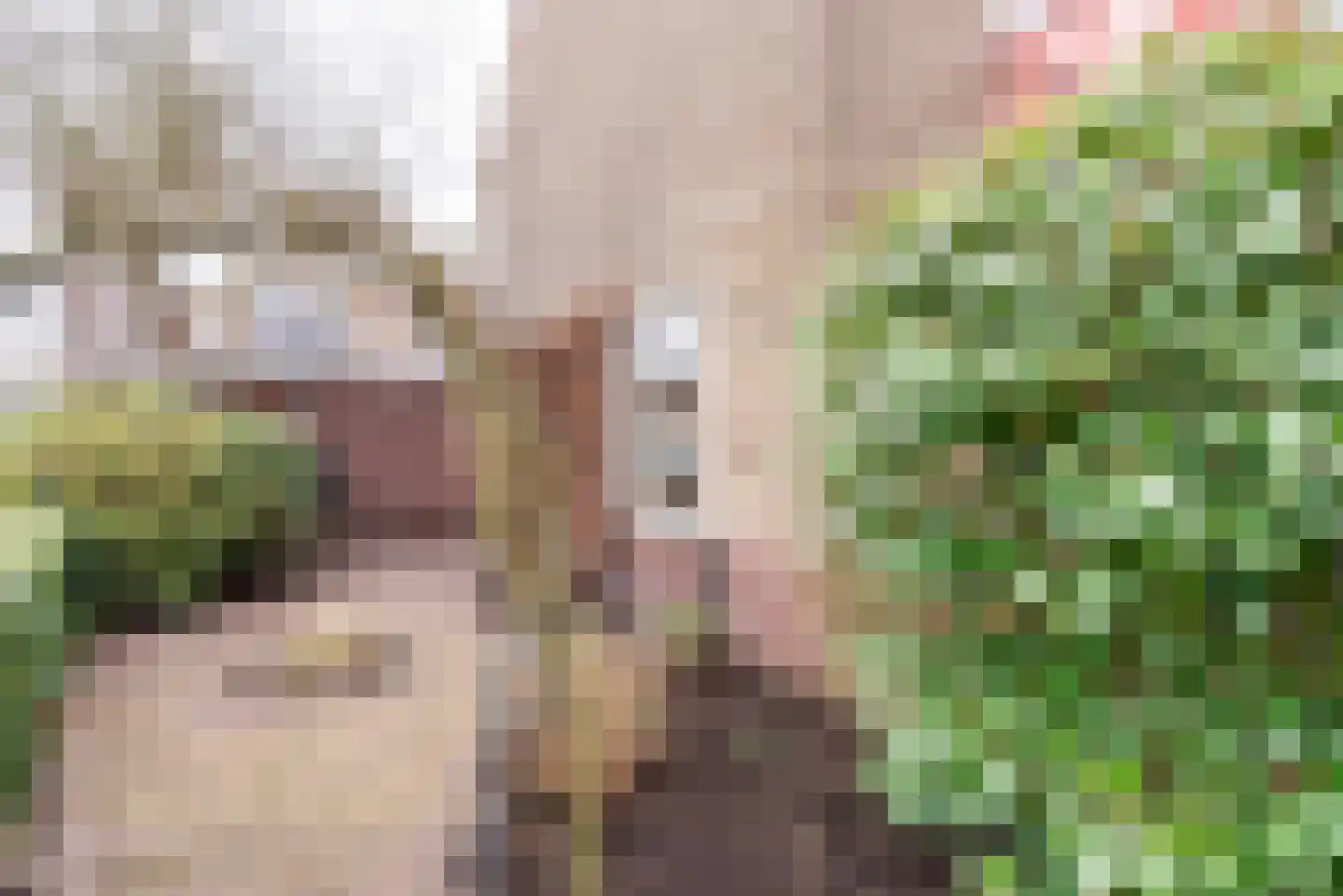 Meyenhagen 17 Bilthoven thumbnail 32