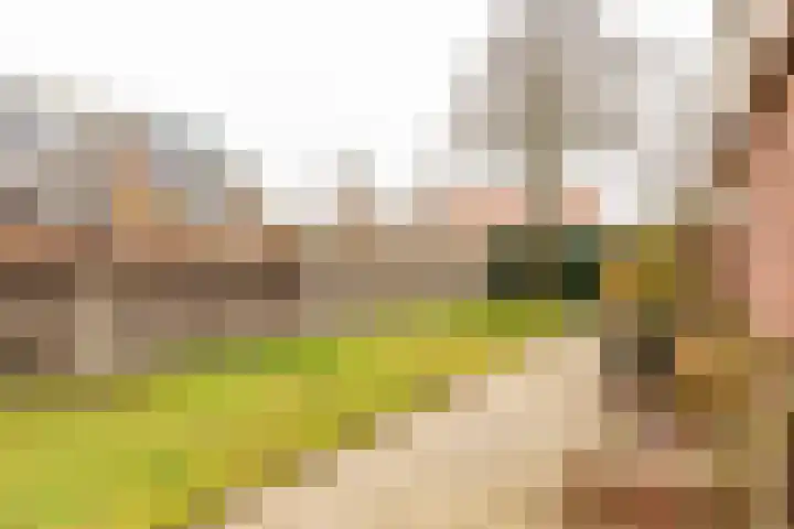 Meyenhagen 17 Bilthoven thumbnail 4