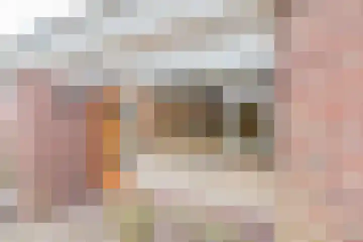 Meyenhagen 17 Bilthoven thumbnail 6
