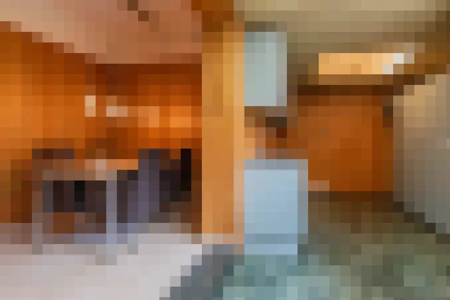 Meyenhagen 17 Bilthoven thumbnail 8