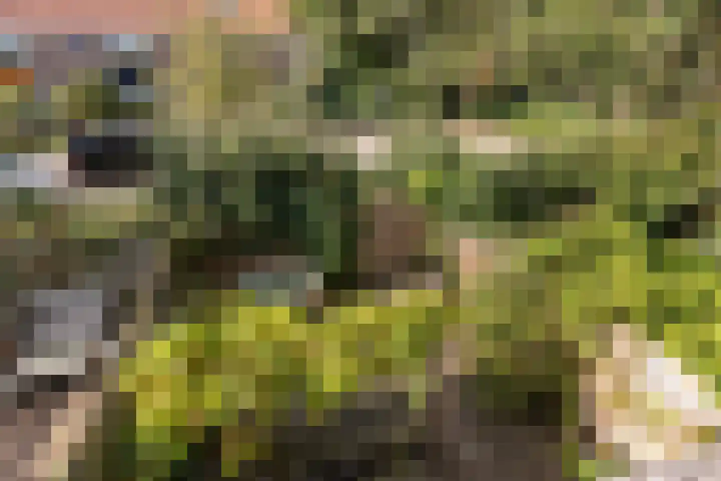 Meyenhagen 27 Bilthoven thumbnail 25