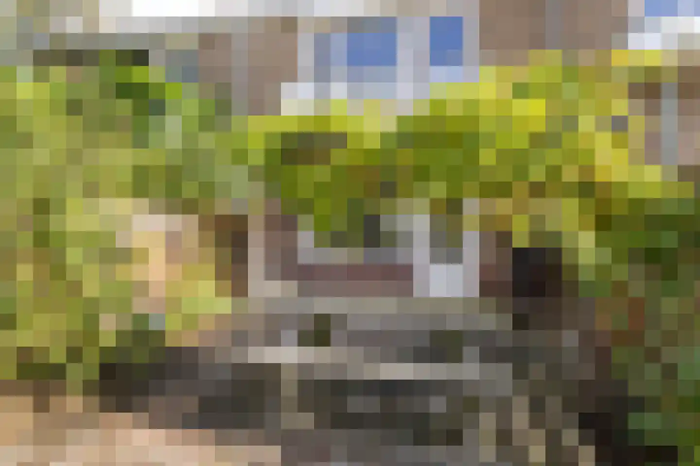 Meyenhagen 27 Bilthoven thumbnail 39