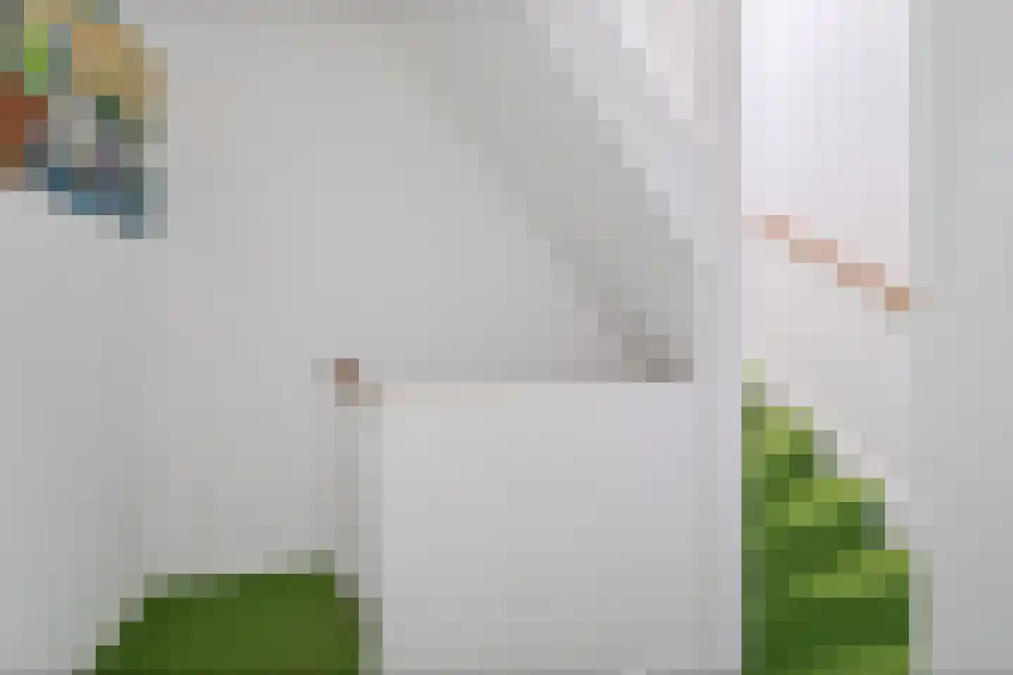 Meyenhagen 32 Bilthoven thumbnail 14