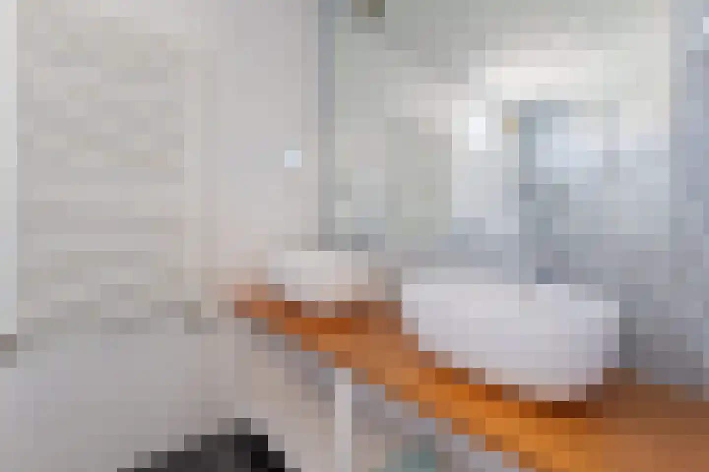 Meyenhagen 32 Bilthoven thumbnail 18