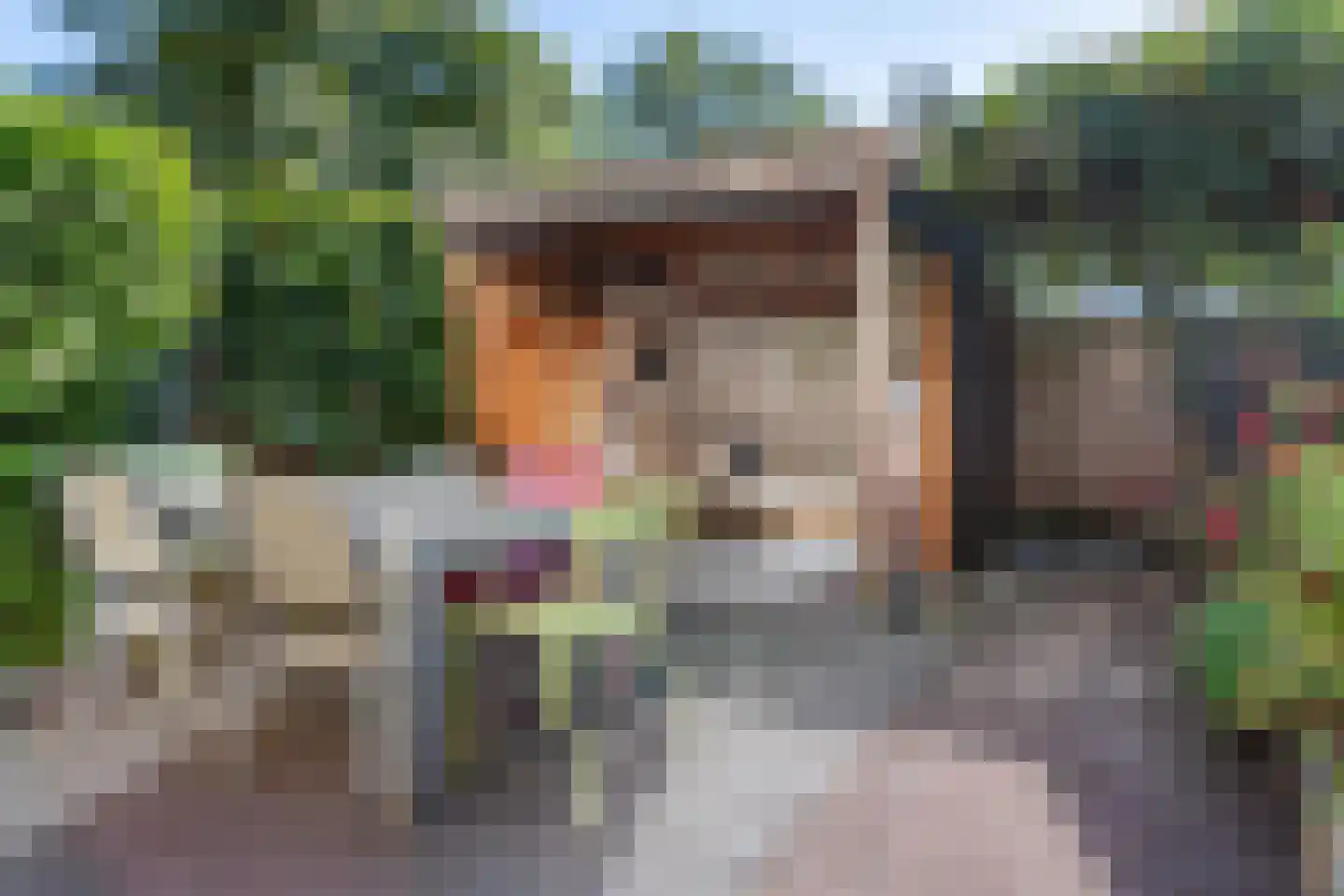 Meyenhagen 32 Bilthoven thumbnail 28