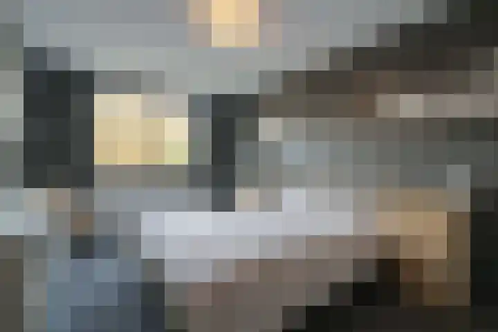 Meyenhagen 35 Bilthoven thumbnail 11