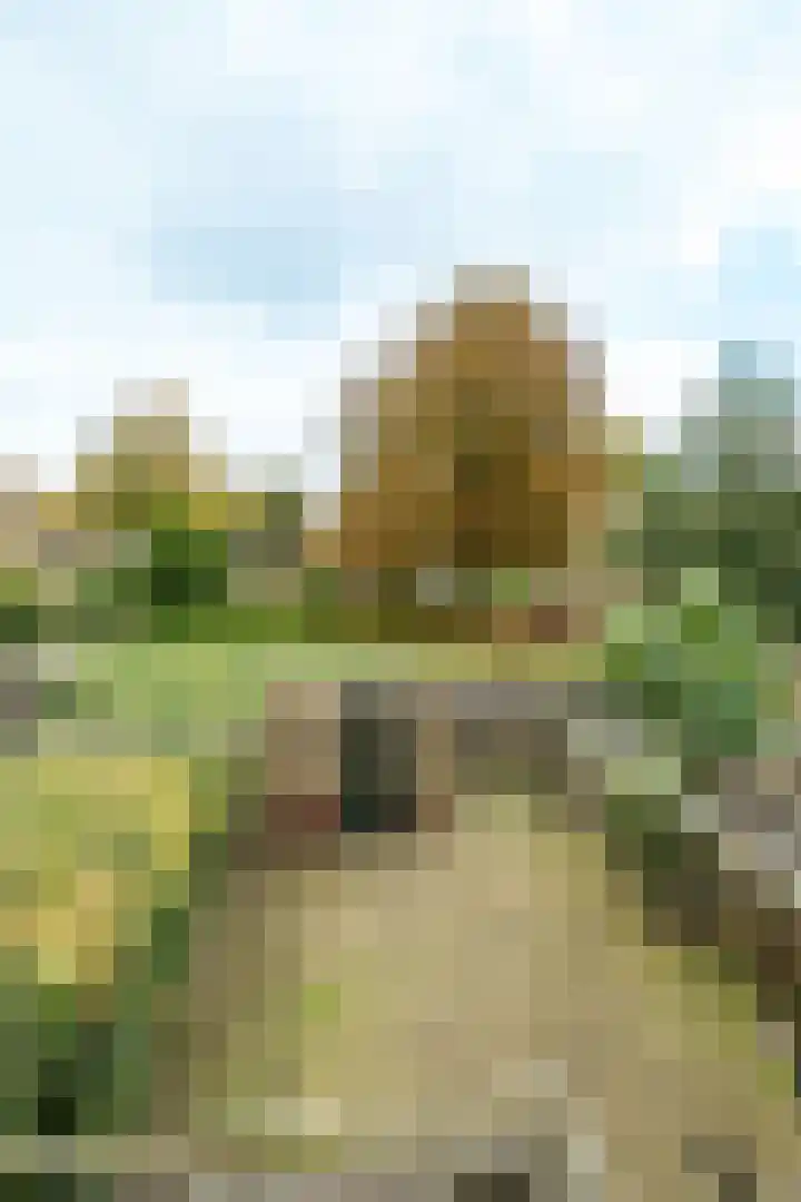 Meyenhagen 35 Bilthoven thumbnail 14