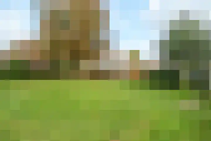 Meyenhagen 35 Bilthoven thumbnail 19
