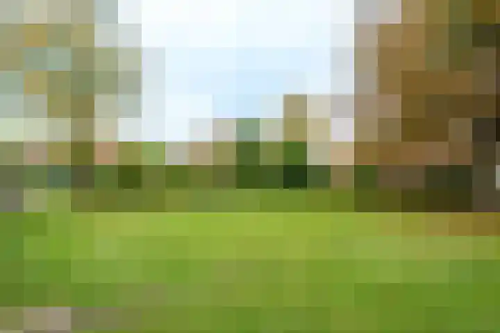 Meyenhagen 35 Bilthoven thumbnail 20